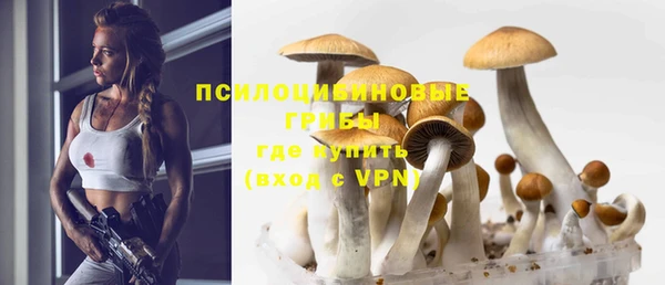 прущие крисы Зеленодольск