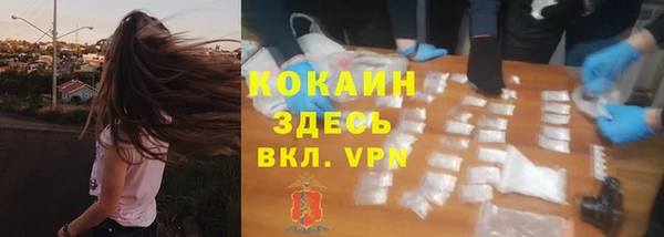дживик Зерноград
