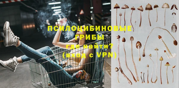 прущие крисы Зеленодольск