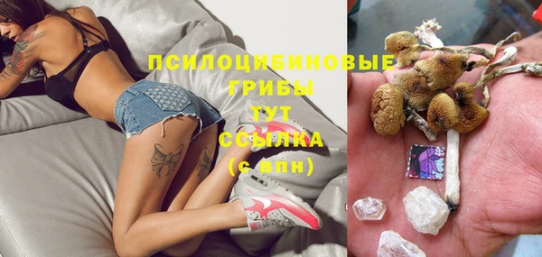 прущие крисы Зеленодольск