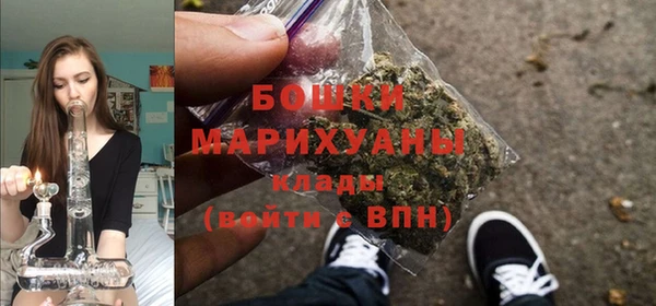 дживик Зерноград